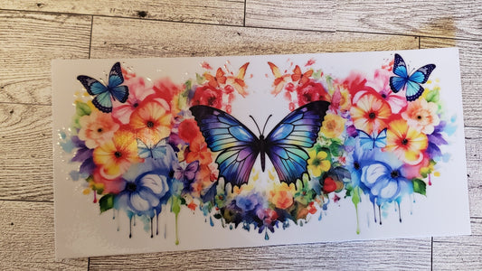 Colorful Butterfly 1